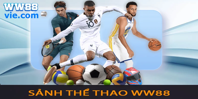 Sảnh thể thao với nhiều bộ môn và kèo cược hấp dẫn