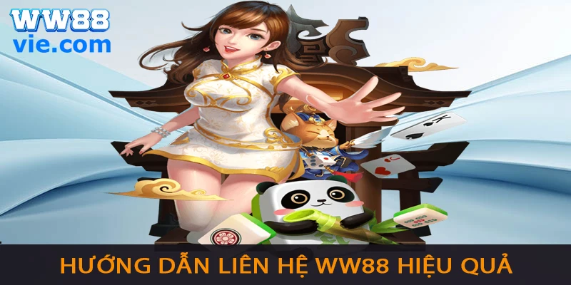 Cách Liên hệ nhà cái để giải quyết vấn đề nhanh và hiệu quả nhất